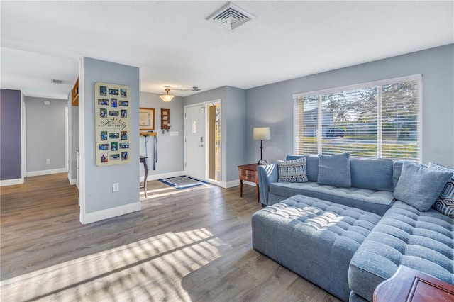 living room featuring wood-type flooring