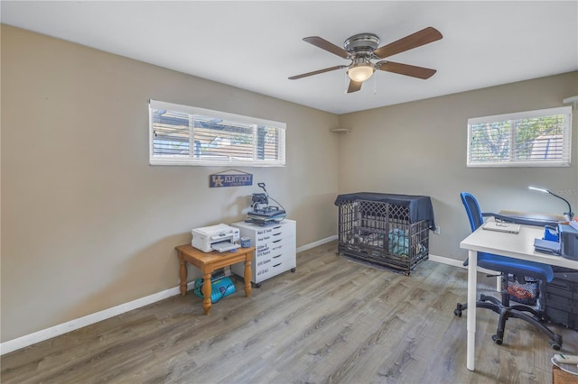 office area featuring a healthy amount of sunlight, hardwood / wood-style floors, and ceiling fan