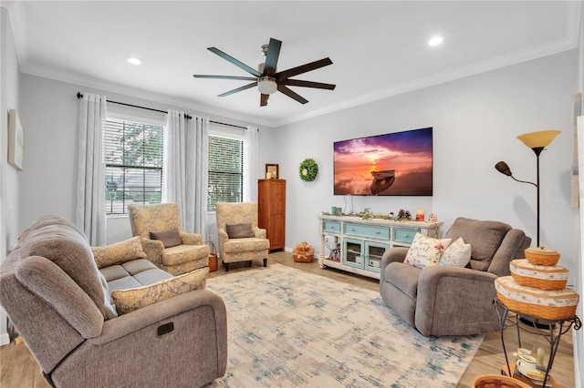 living room with ornamental molding, ceiling fan, and light wood-type flooring