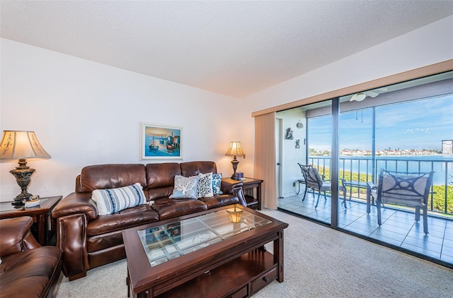 carpeted living area with a textured ceiling