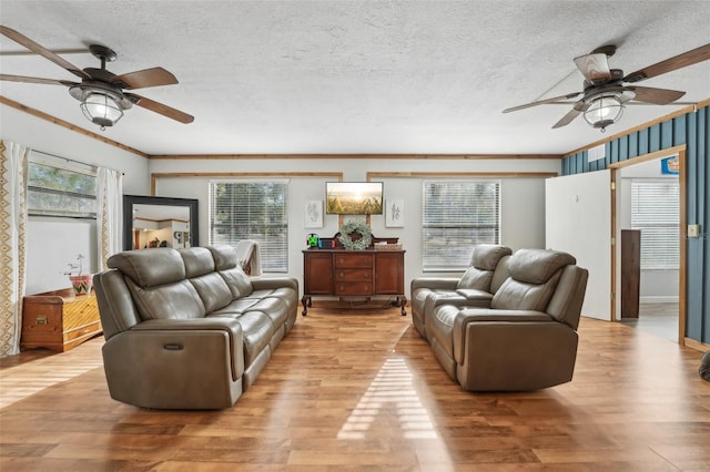 living room featuring light hardwood / wood-style flooring, crown molding, and a wealth of natural light