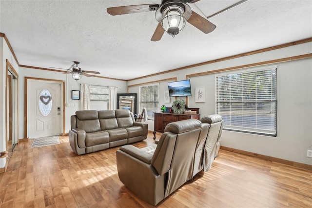 living room featuring crown molding, light hardwood / wood-style floors, and a textured ceiling