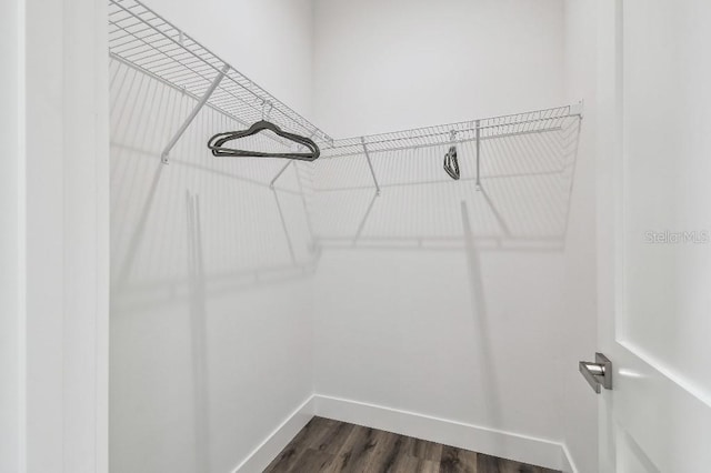 spacious closet with dark wood-type flooring