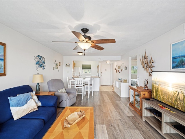 living room featuring a wealth of natural light, wood-type flooring, and ceiling fan