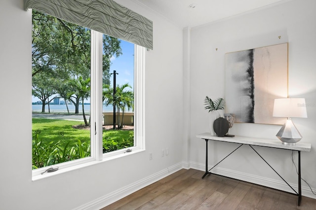 interior space with plenty of natural light, wood finished floors, baseboards, and ornamental molding