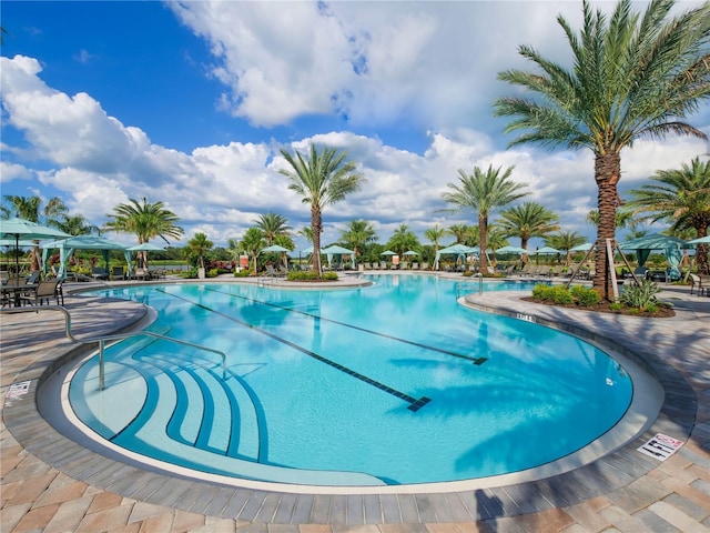 view of swimming pool featuring a patio area