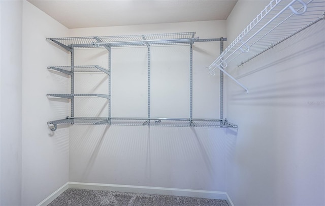 spacious closet with carpet