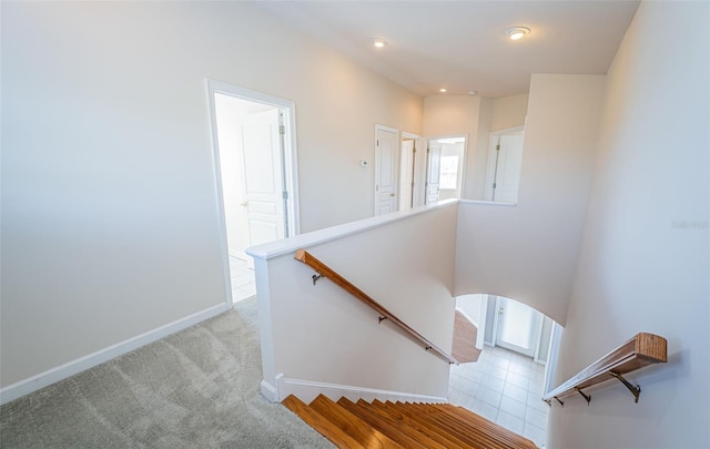 staircase featuring carpet flooring