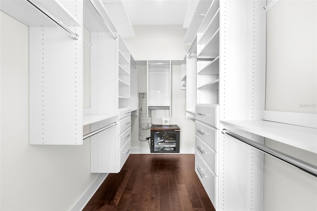 spacious closet with dark hardwood / wood-style floors