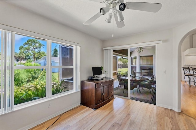 office area featuring ceiling fan, a textured ceiling, and light hardwood / wood-style floors