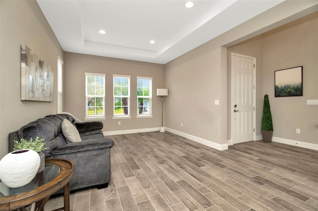 living area with light hardwood / wood-style floors and a raised ceiling