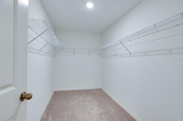 9805 Lemon Drop Loop, Sun City Center, FL 33573 - spacious closet with light colored carpet