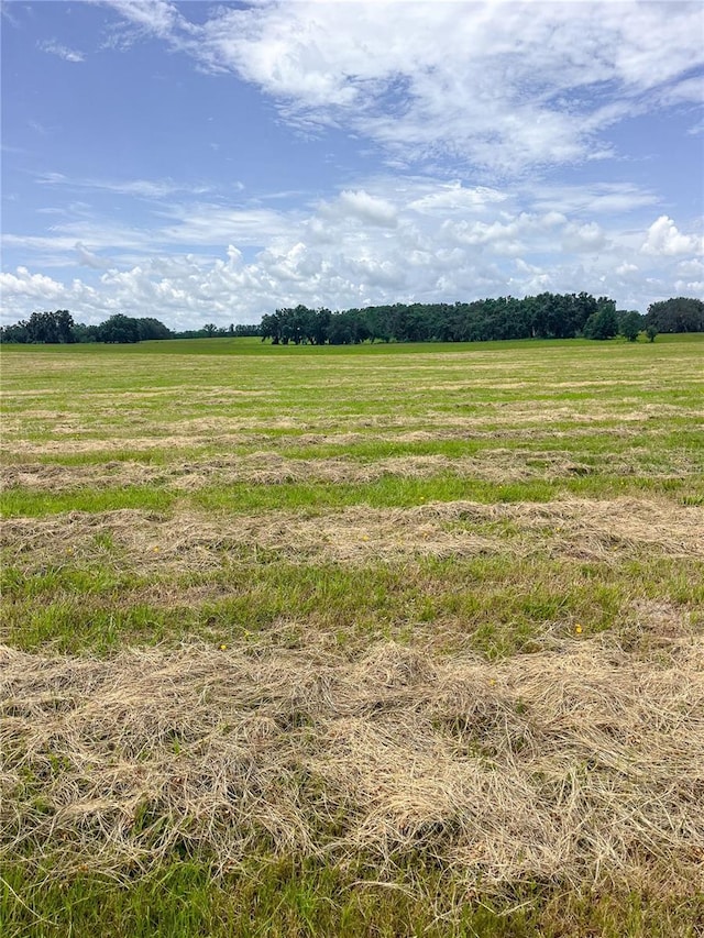 14720 40th St, Live Oak, FL 32060 - photo 4