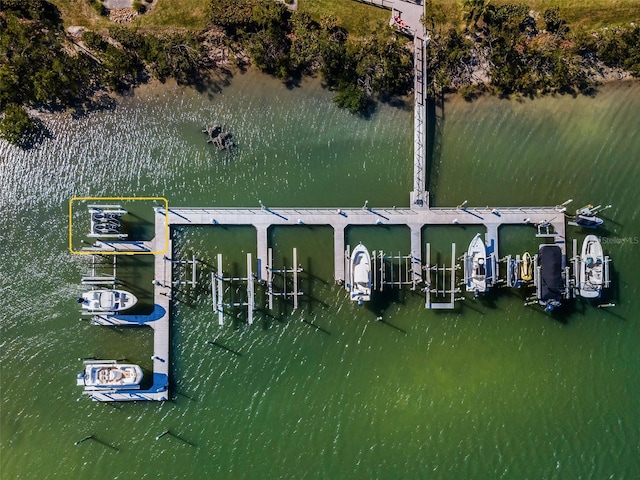 dock area with a water view