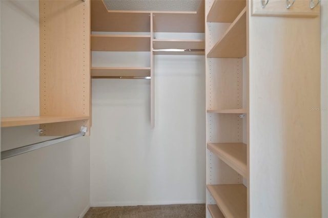 walk in closet featuring carpet floors