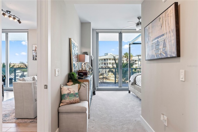 interior space featuring expansive windows, light colored carpet, and access to exterior