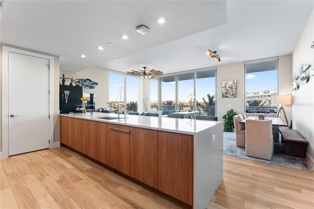 kitchen with sink, light hardwood / wood-style floors, kitchen peninsula, and a healthy amount of sunlight