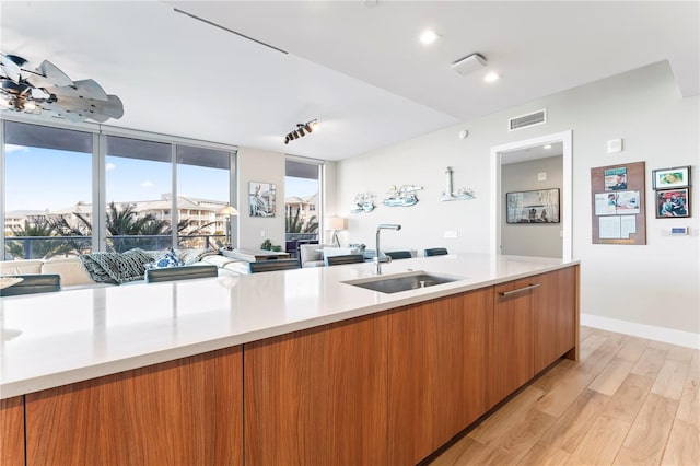 kitchen featuring sink and light hardwood / wood-style floors