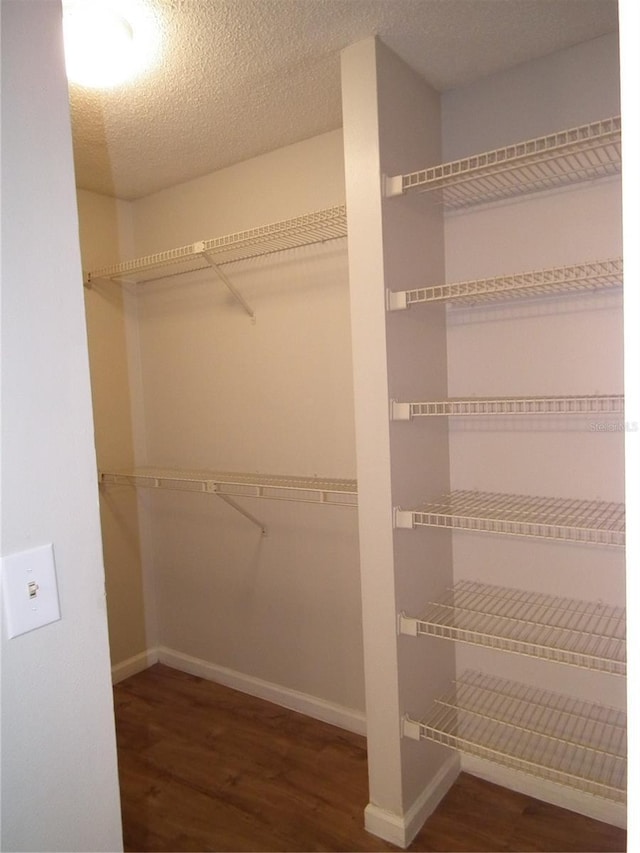 spacious closet featuring dark wood-type flooring