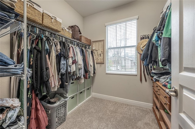 walk in closet with carpet flooring