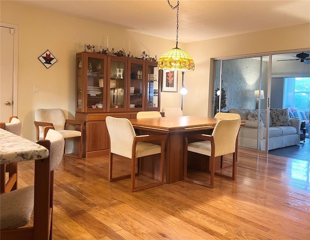 dining area featuring light hardwood / wood-style flooring