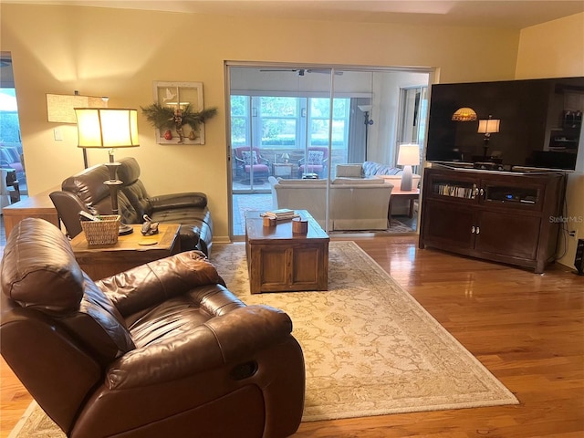 living room with wood-type flooring