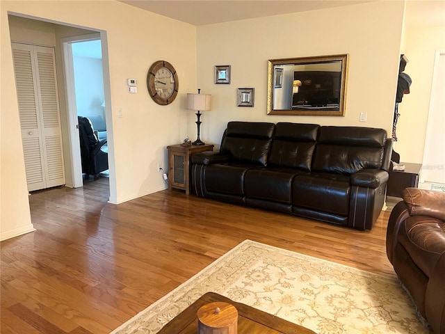 living room with hardwood / wood-style flooring