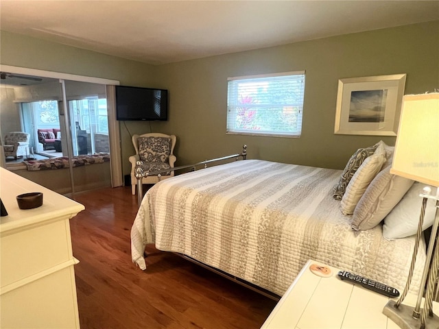 bedroom with dark wood-type flooring and multiple windows