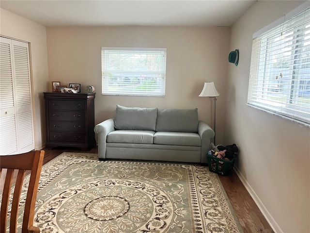 living room with hardwood / wood-style floors