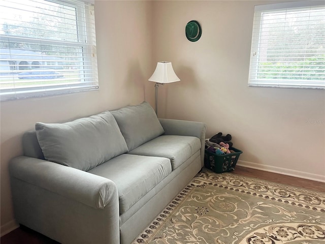 living room with wood-type flooring