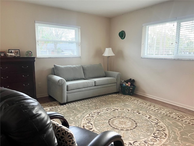 living room featuring wood-type flooring