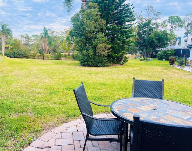 view of yard featuring a patio area