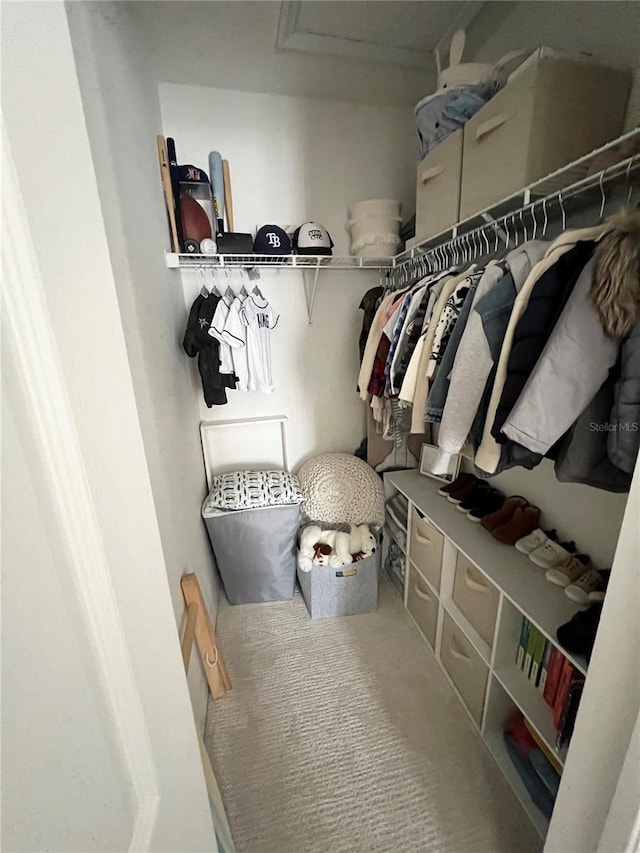 walk in closet with carpet flooring