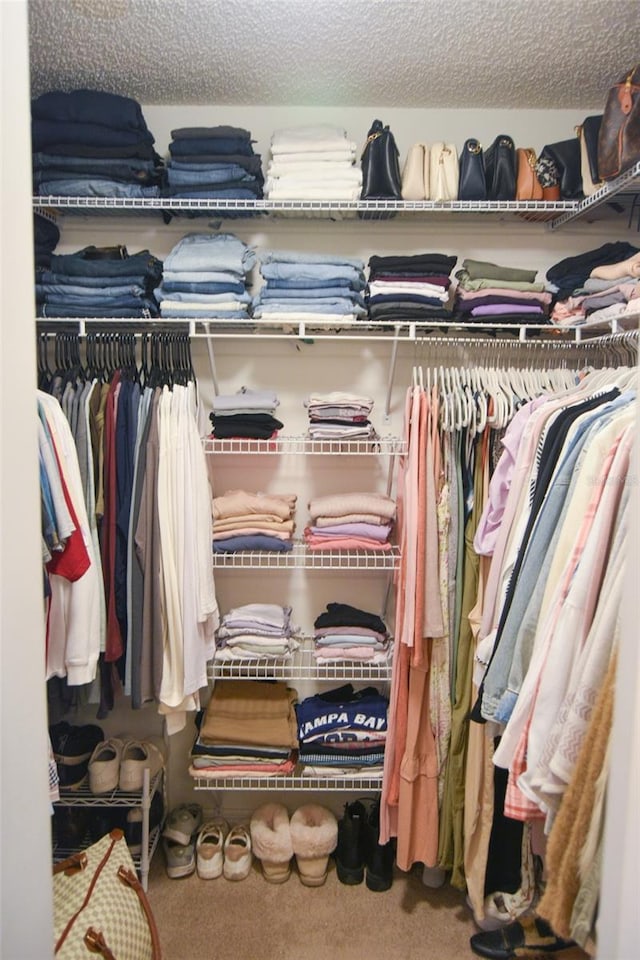 walk in closet with carpet floors