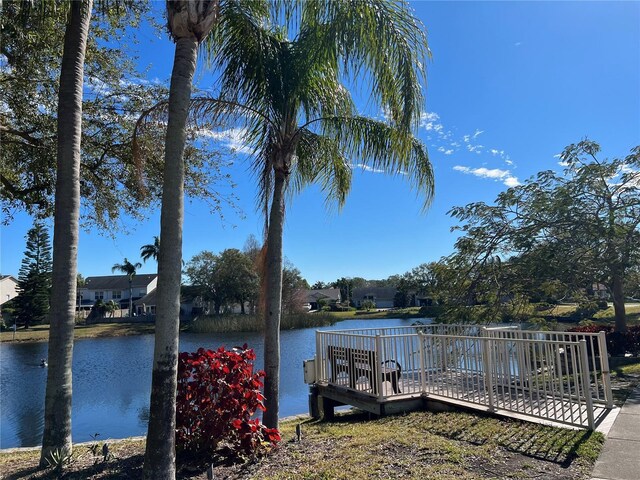 dock area with a water view