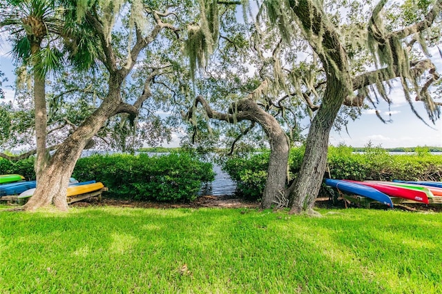 view of yard featuring a water view