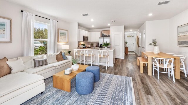 living room featuring hardwood / wood-style flooring and sink