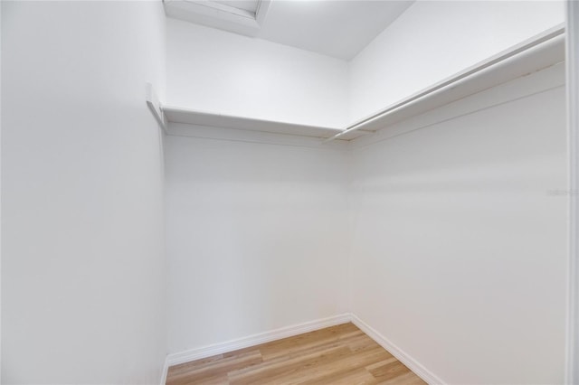 spacious closet with wood-type flooring