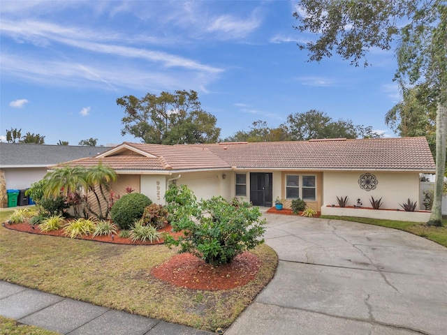 ranch-style home featuring a front yard