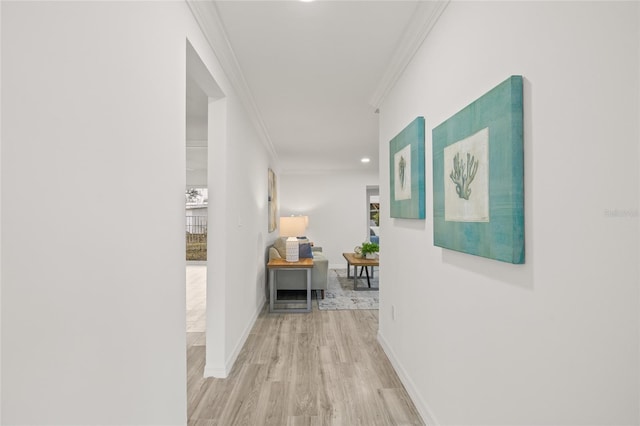 hallway with crown molding and light hardwood / wood-style floors