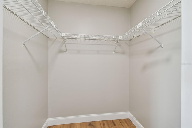 walk in closet featuring hardwood / wood-style flooring