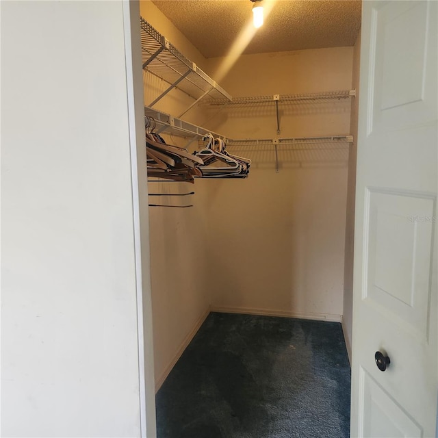 spacious closet with dark colored carpet