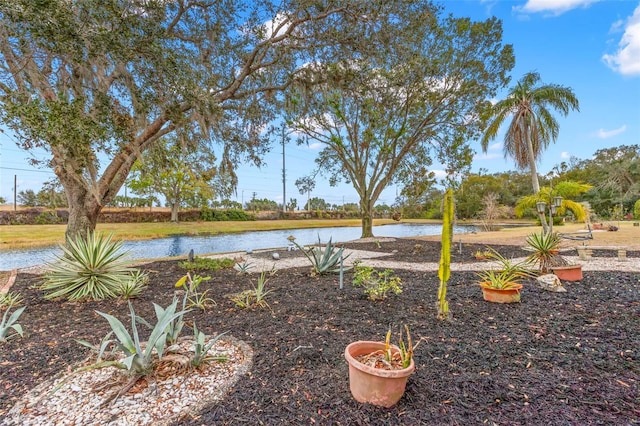 view of yard with a water view