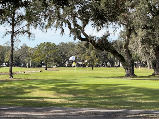 view of home's community featuring a yard