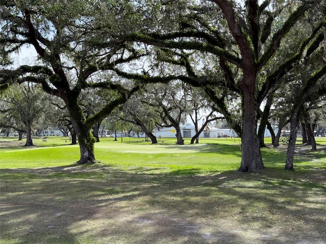 view of home's community with a lawn