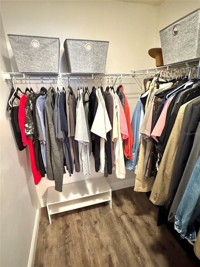 walk in closet featuring hardwood / wood-style flooring