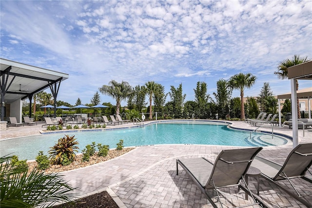 view of swimming pool with a patio