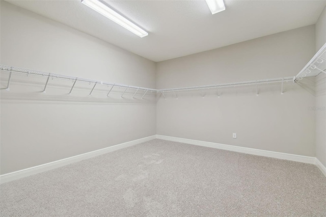 spacious closet with carpet flooring