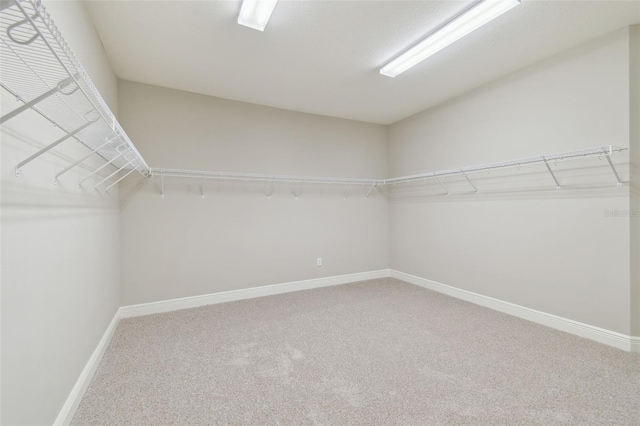 walk in closet featuring carpet