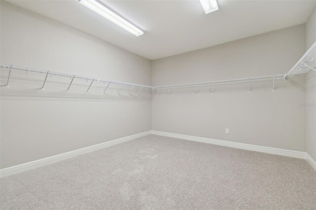 10825 Charmwood Dr, Riverview, FL 33569 - photo 53